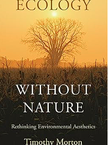 Home ecology without nature: rethinking environmental aesthetics
