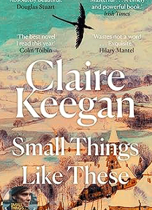 small things like these: shortlisted for the booker prize 2022